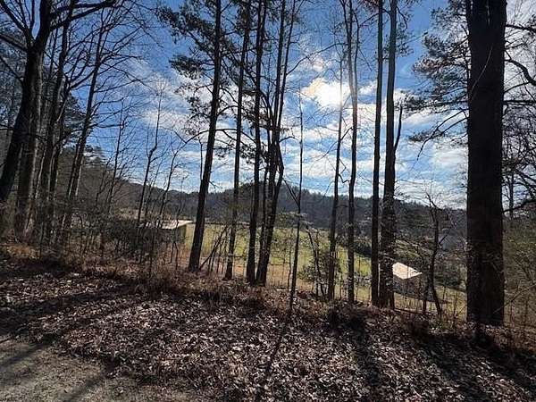 1 Acre of Residential Land for Sale in Ellijay, Georgia