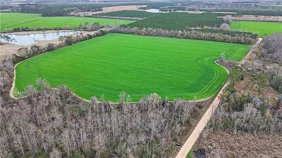 10 Acres of Land for Sale in Odum, Georgia