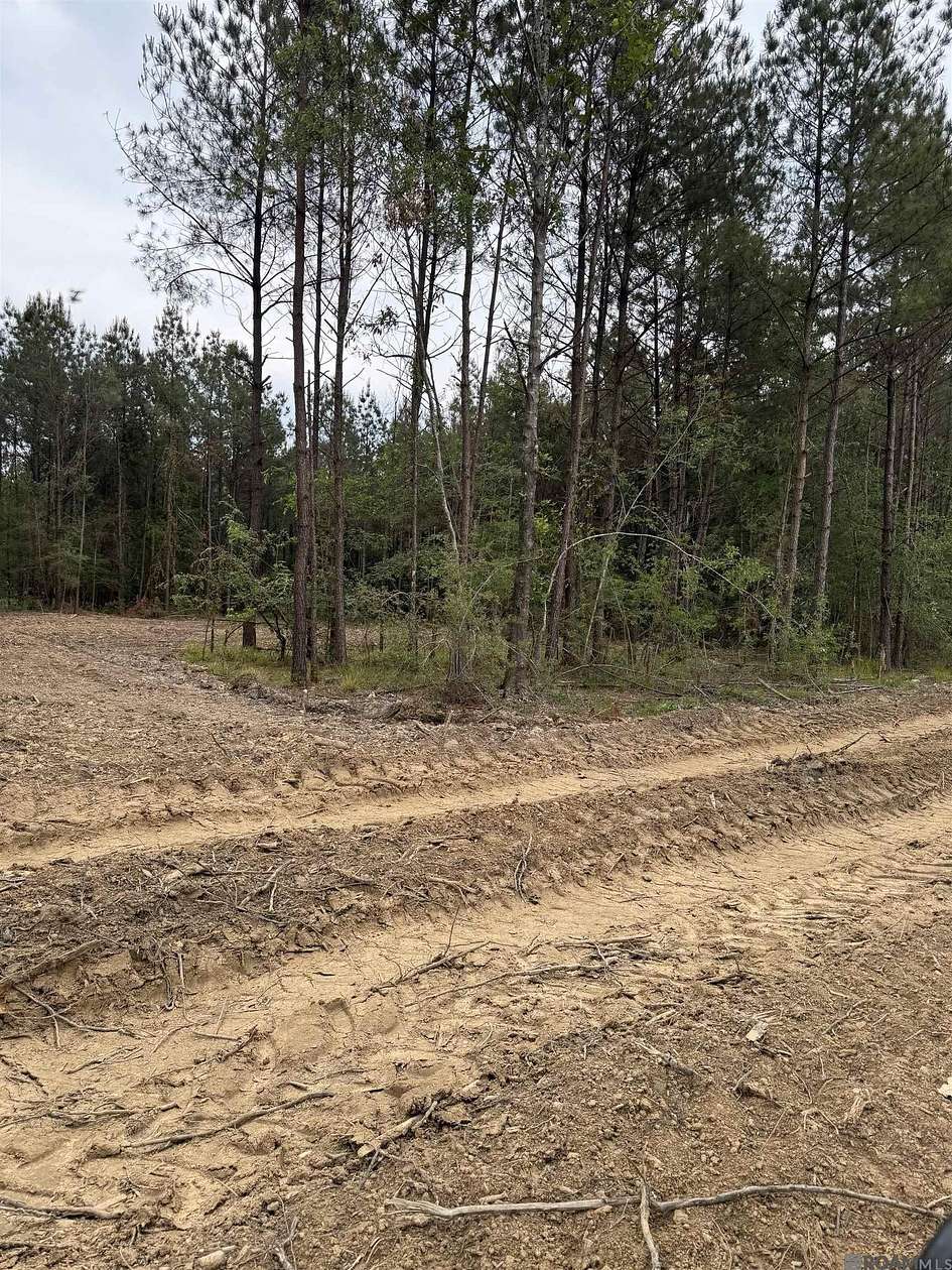 2 Acres of Residential Land for Sale in Livingston, Louisiana