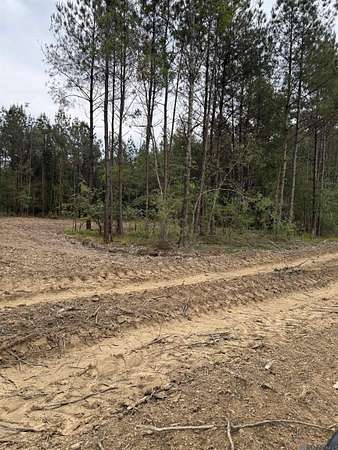 2 Acres of Residential Land for Sale in Livingston, Louisiana