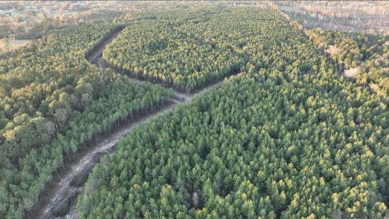 3.28 Acres of Residential Land for Sale in Livingston, Louisiana