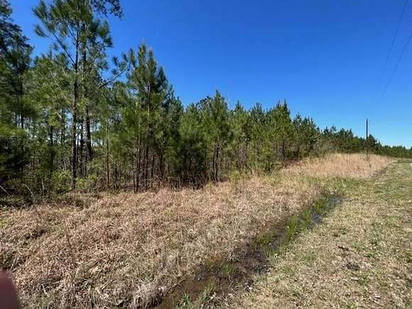 23.5 Acres of Recreational Land for Sale in Medon, Tennessee