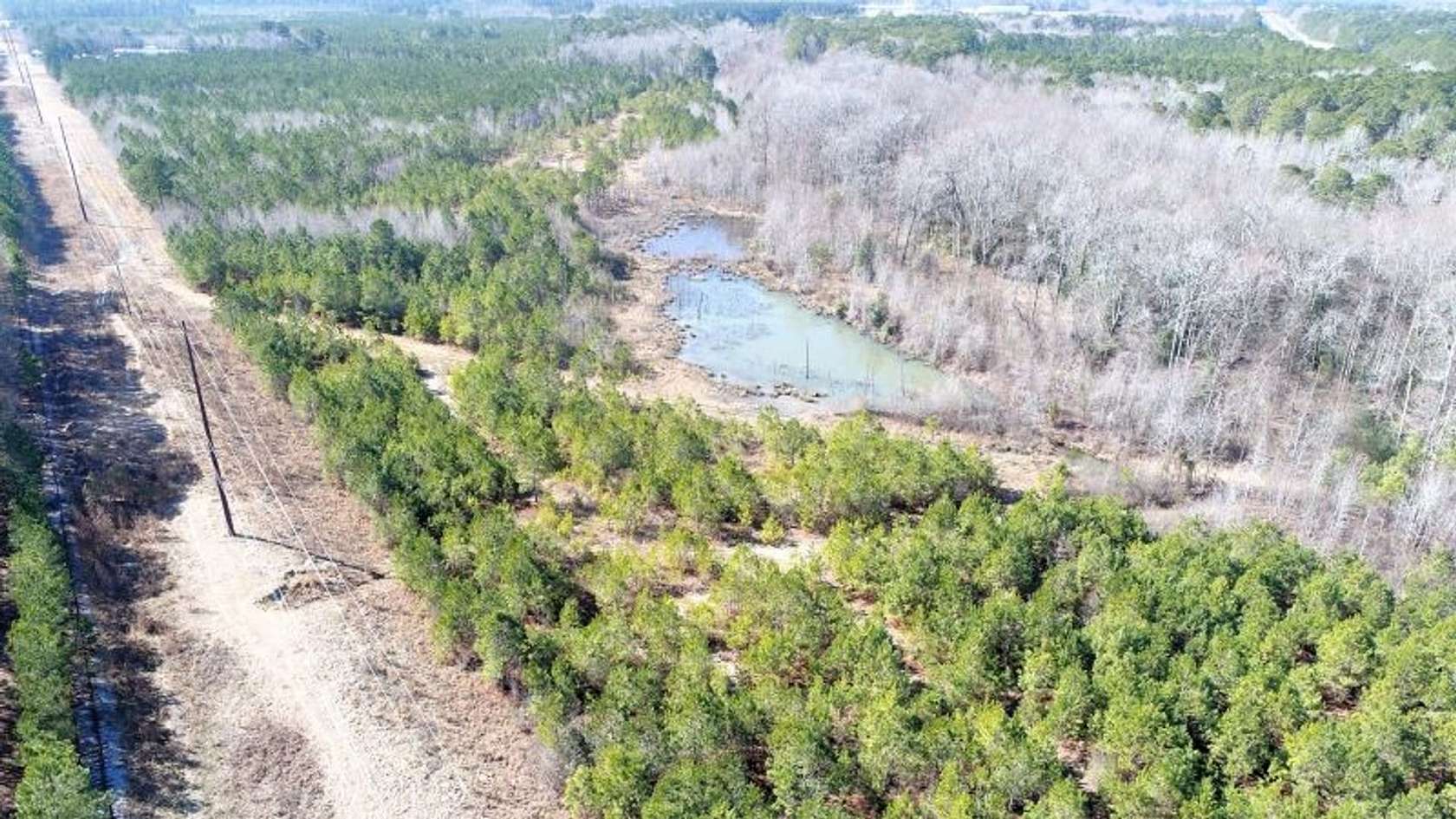 45 Acres of Recreational Land for Sale in Tarboro, North Carolina