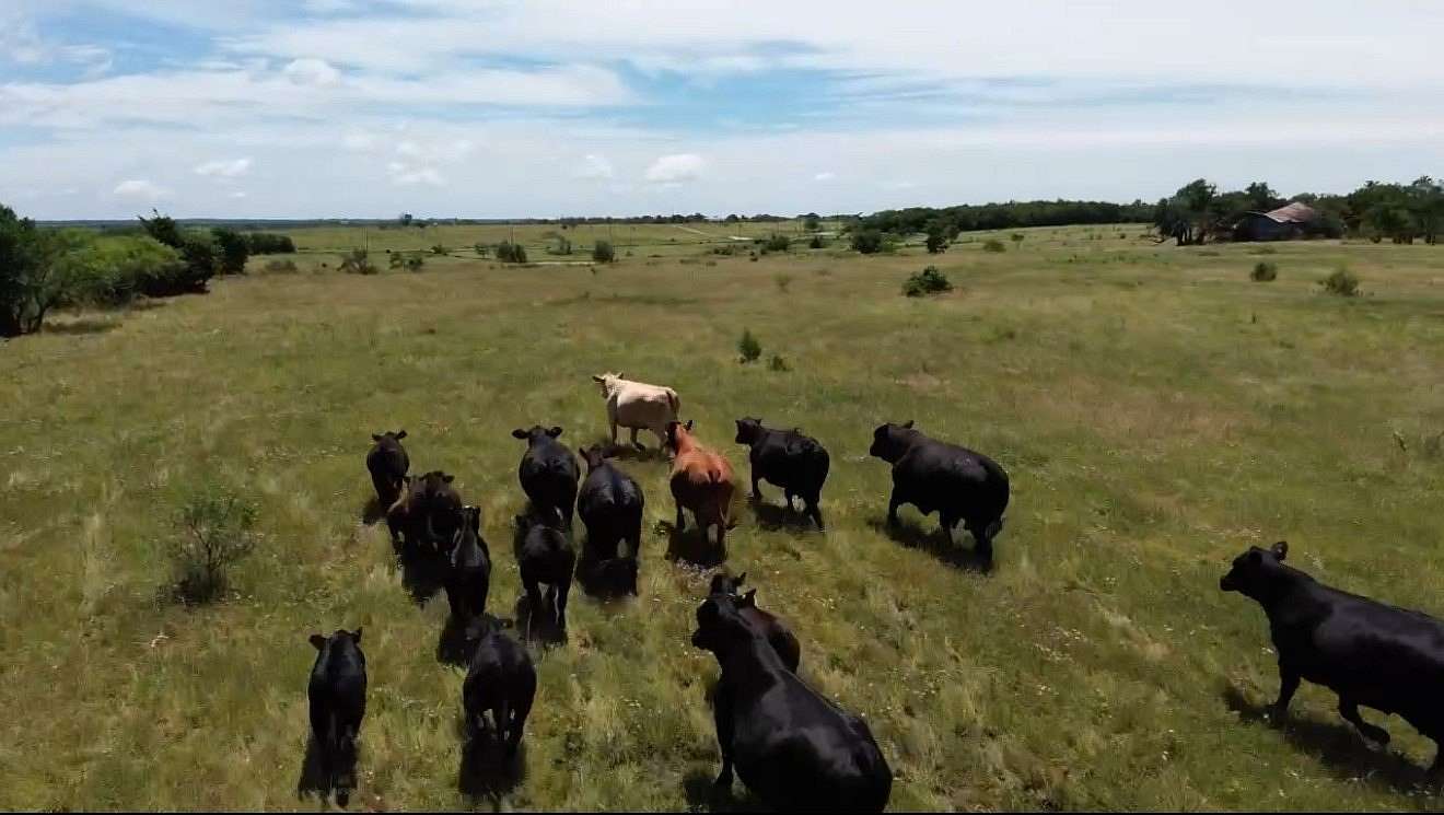 7.5 Acres of Land for Sale in Sherman, Texas
