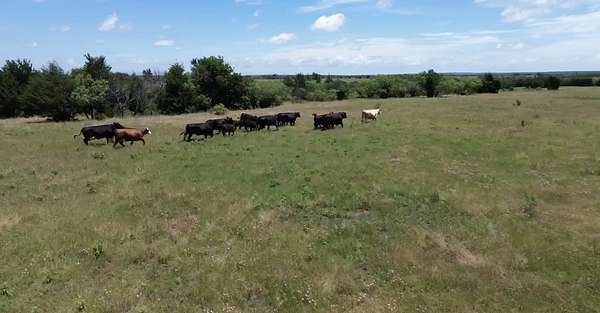 7.5 Acres of Land for Sale in Sherman, Texas