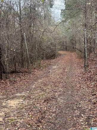 10 Acres of Recreational Land for Sale in Fosters, Alabama