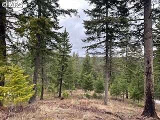 10 Acres of Residential Land for Sale in White Salmon, Washington