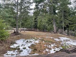 10 Acres of Recreational Land for Sale in White Salmon, Washington