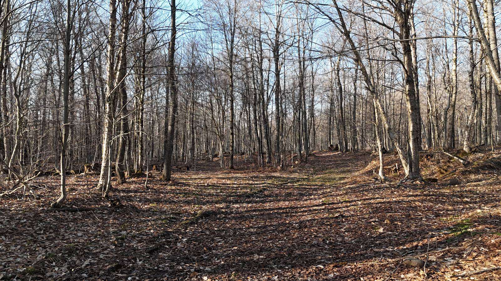69 Acres of Recreational Land for Sale in Osceola, New York
