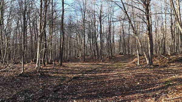 69 Acres of Recreational Land for Sale in Osceola, New York