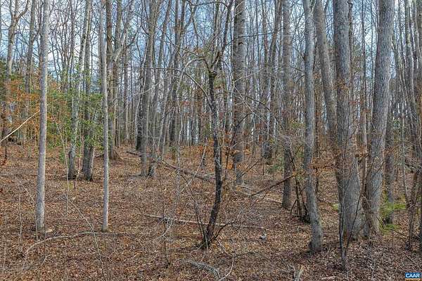 2.69 Acres of Residential Land for Sale in Victoria, Virginia