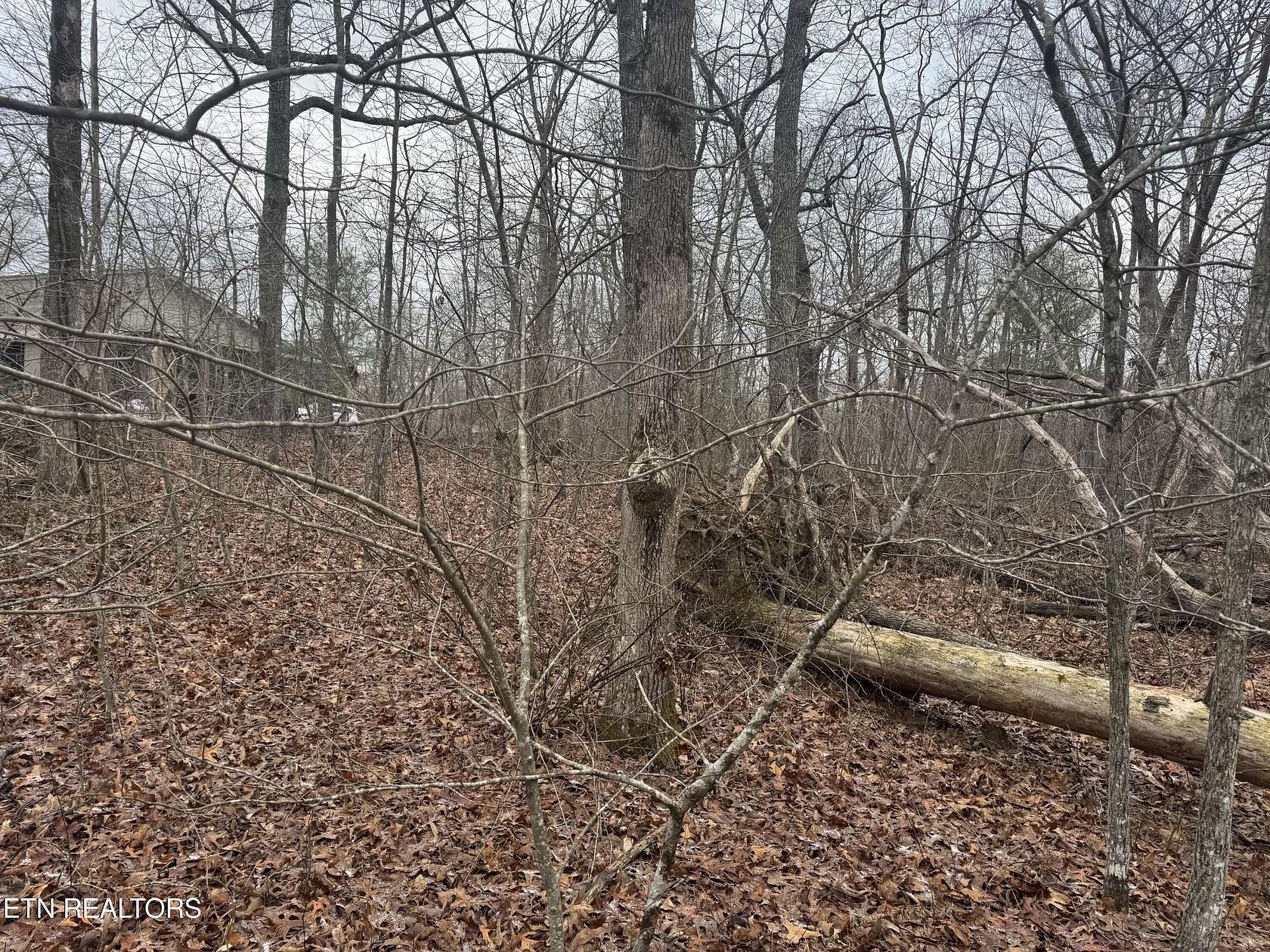 0.4 Acres of Residential Land for Sale in Crossville, Tennessee