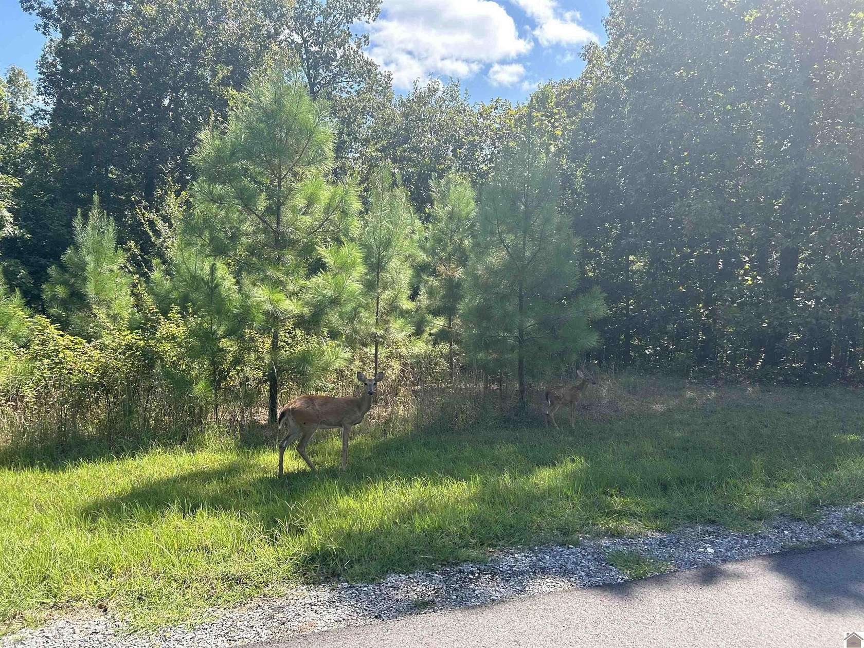 1 Acre of Residential Land for Sale in Murray, Kentucky
