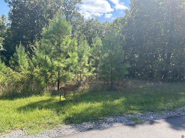 1 Acre of Residential Land for Sale in Murray, Kentucky