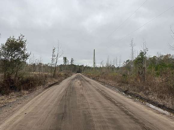 25 Acres of Recreational Land & Farm for Sale in Chipley, Florida