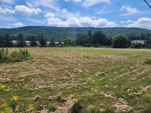 0.84 Acres of Land for Sale in Beaver Dams, New York