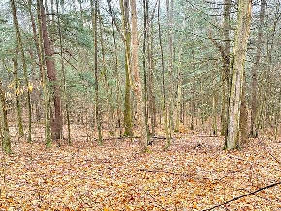 23.4 Acres of Land for Sale in Orange Town, New York