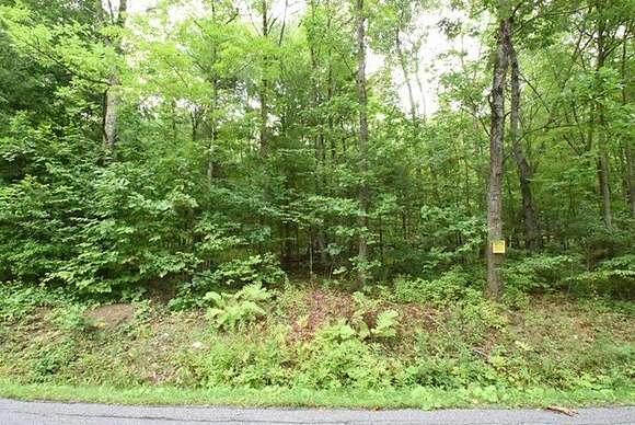 7.45 Acres of Residential Land for Sale in Big Flats, New York