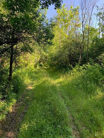 26.8 Acres of Recreational Land for Sale in Watkins Glen, New York