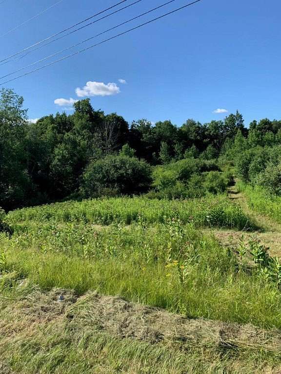 26.8 Acres of Agricultural Land for Sale in Dix Town, New York - LandSearch