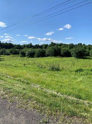 26.8 Acres of Agricultural Land for Sale in Dix Town, New York - LandSearch