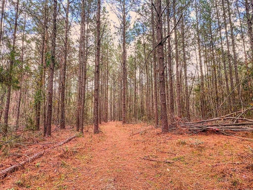 46.3 Acres of Recreational Land for Sale in Poplarville, Mississippi ...