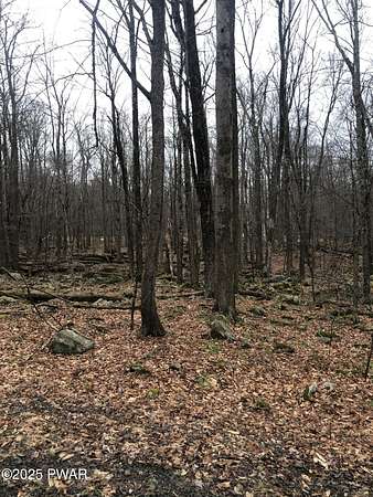 0.29 Acres of Residential Land for Sale in Newfoundland, Pennsylvania