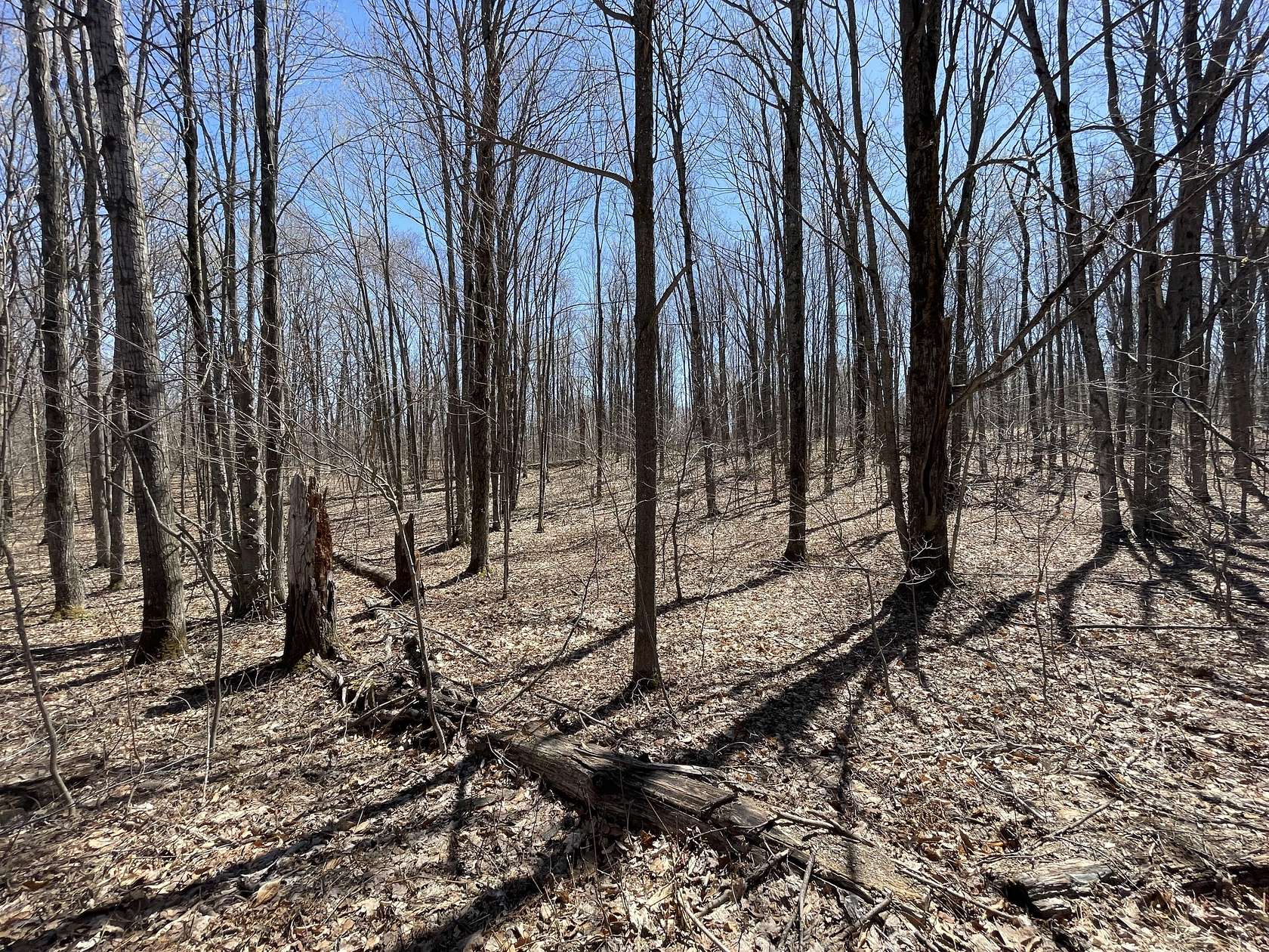 Residential Land for Sale in Mancelona, Michigan