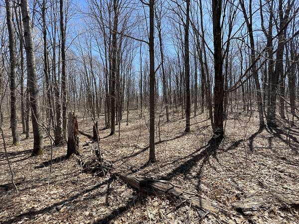 Residential Land for Sale in Mancelona, Michigan