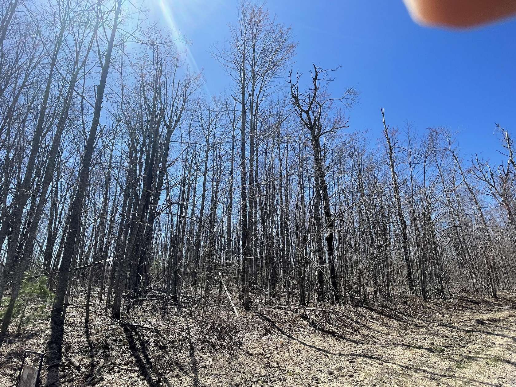 0.63 Acres of Residential Land for Sale in Elmira, Michigan