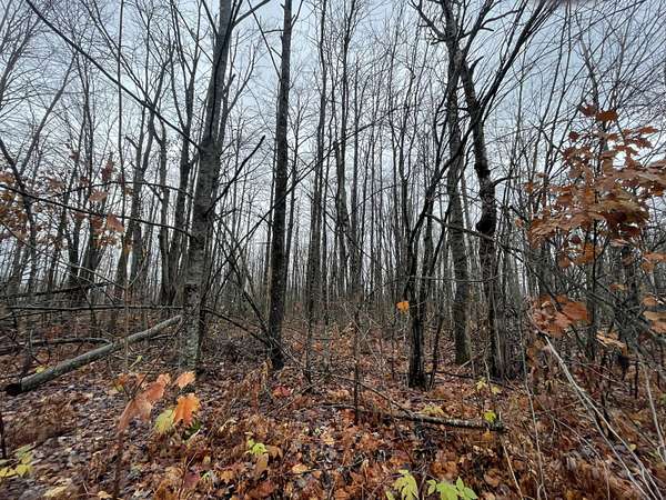 0.63 Acres of Residential Land for Sale in Elmira, Michigan