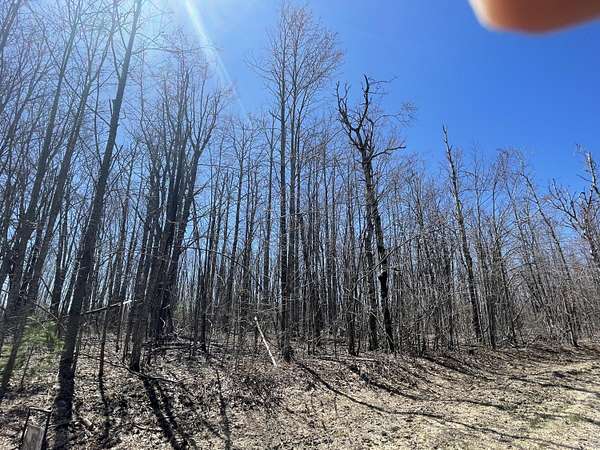 0.63 Acres of Residential Land for Sale in Elmira, Michigan