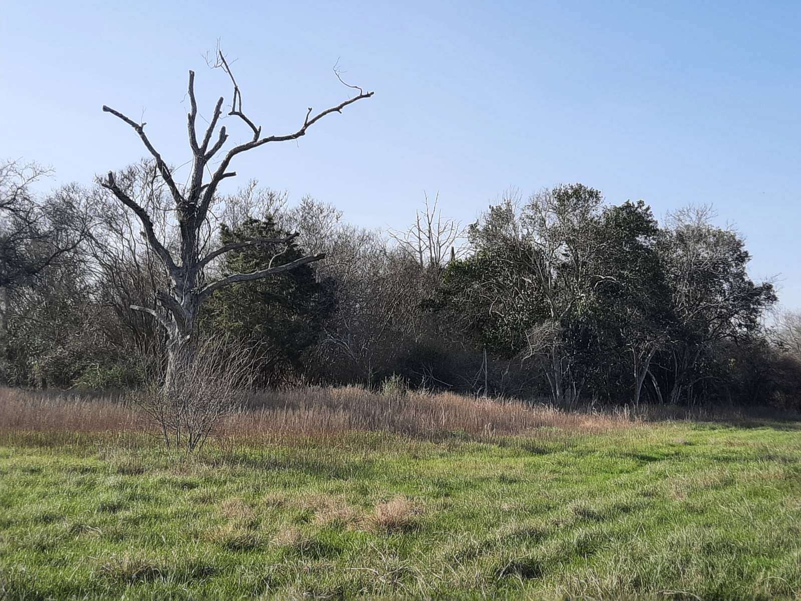 12.6 Acres of Commercial Land for Sale in Hallettsville, Texas