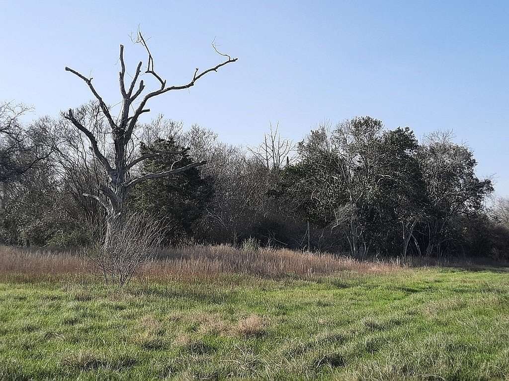 12.6 Acres of Land for Sale in Hallettsville, Texas