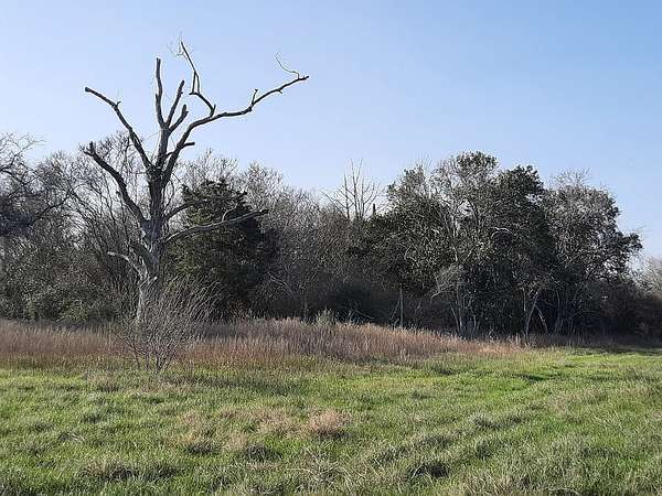 12.6 Acres of Land for Sale in Hallettsville, Texas