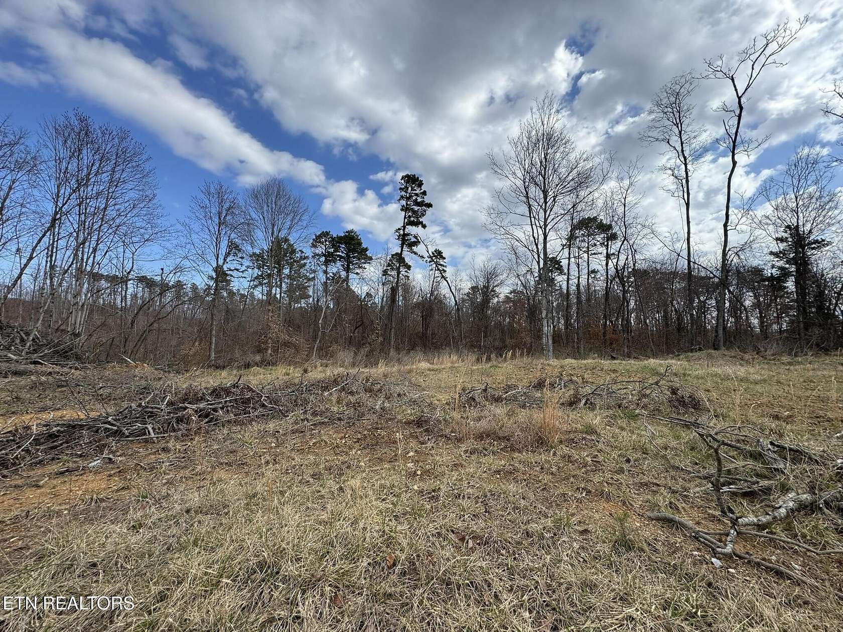 53.8 Acres of Mixed-Use Land for Sale in Strawberry Plains, Tennessee