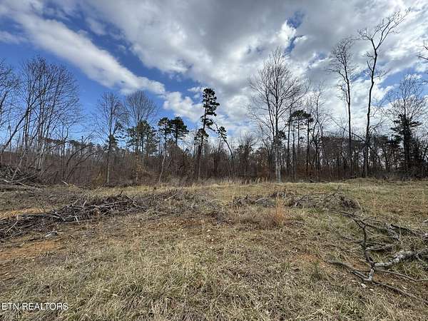 53.8 Acres of Mixed-Use Land for Sale in Strawberry Plains, Tennessee