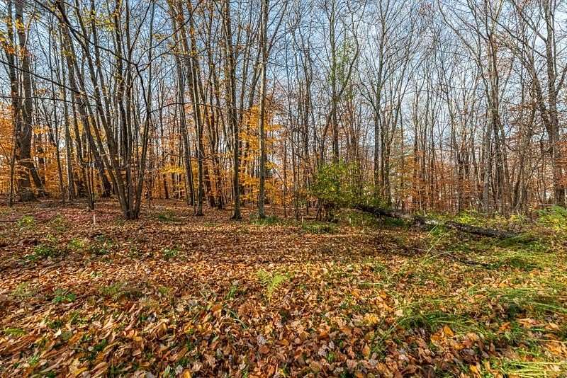 4.46 Acres of Residential Land for Sale in Manchester, Vermont