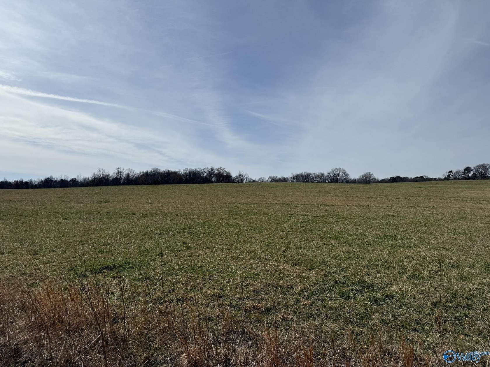 40 Acres of Agricultural Land for Sale in Bryant, Alabama