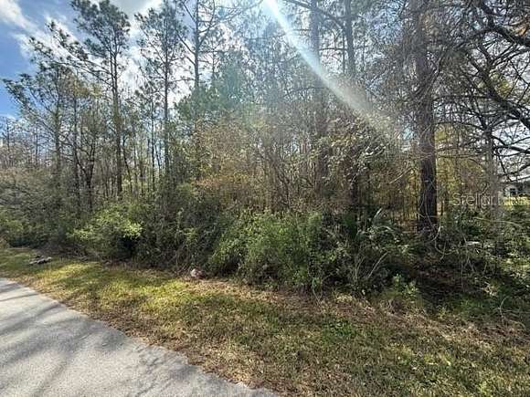 1 Acre of Residential Land for Sale in Wesley Chapel, Florida