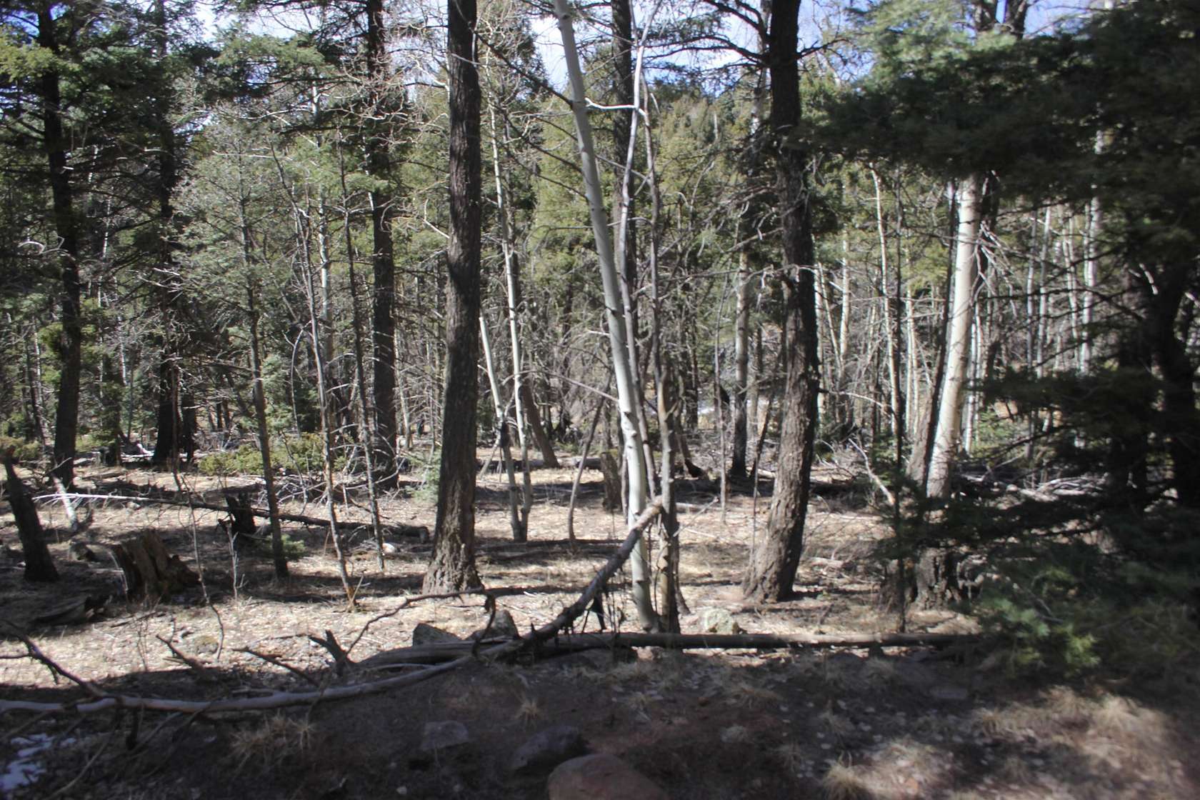 0.87 Acres of Land for Sale in Angel Fire, New Mexico