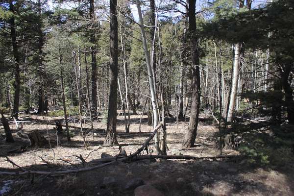 0.87 Acres of Land for Sale in Angel Fire, New Mexico