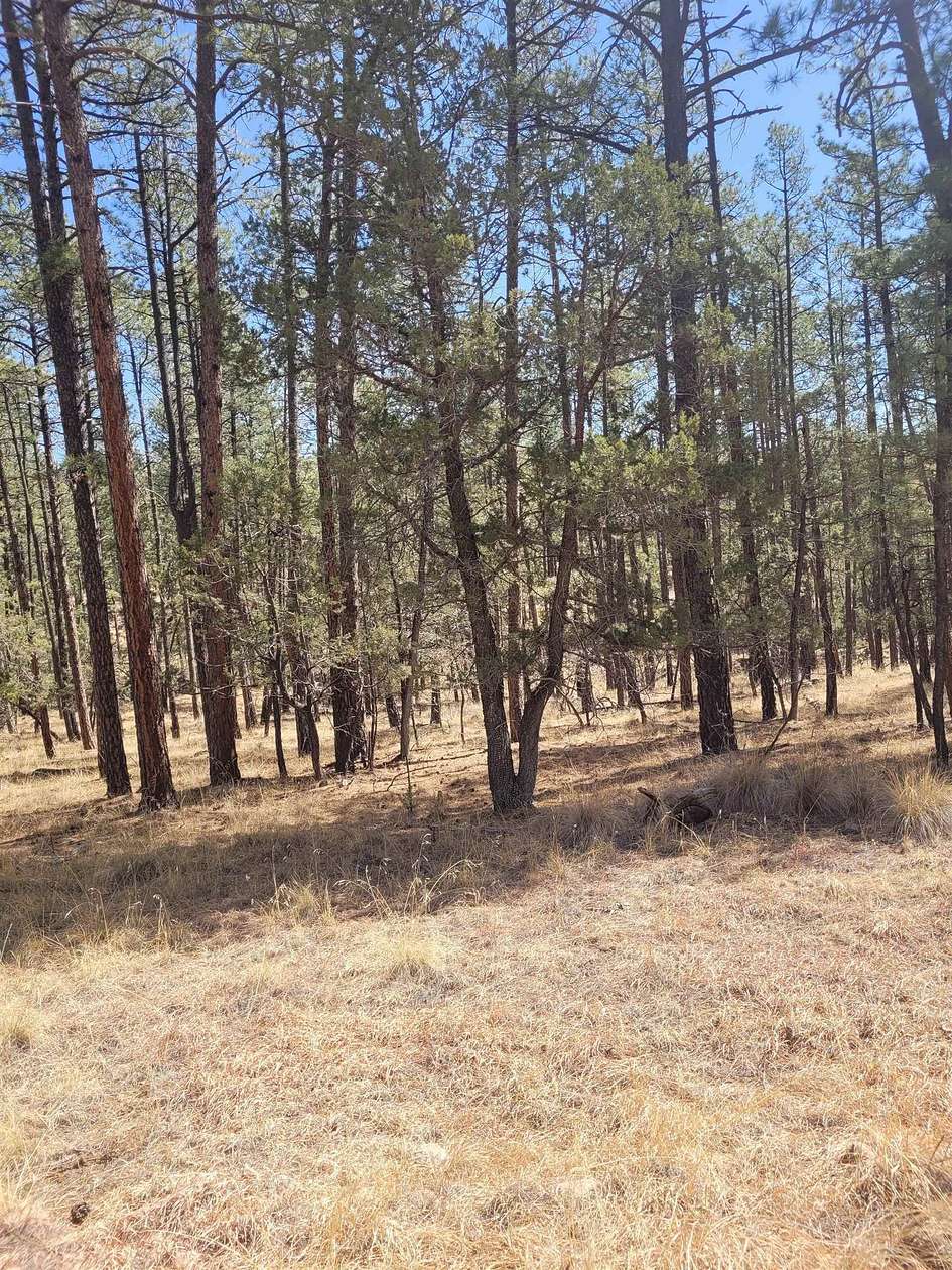 1.55 Acres of Residential Land for Sale in Cloudcroft, New Mexico