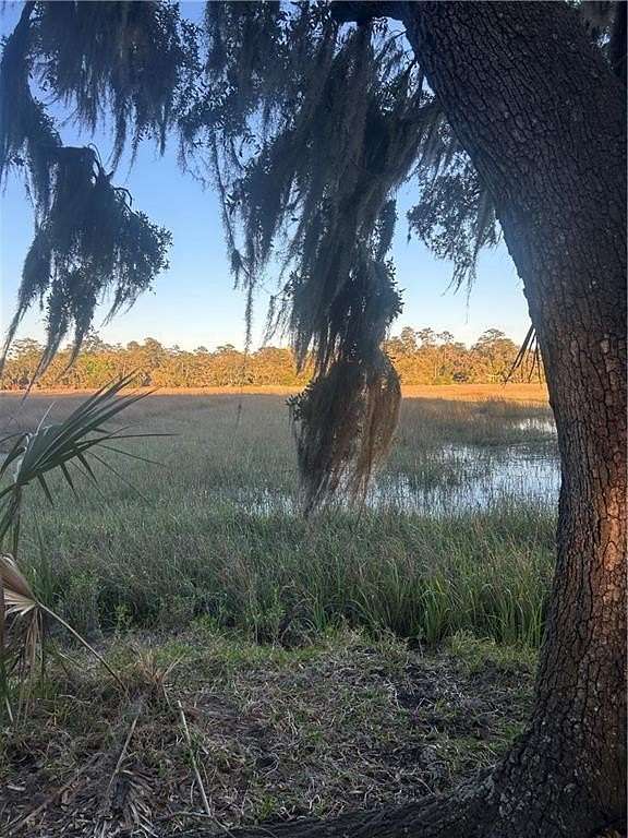 11.7 Acres of Land for Sale in Brunswick, Georgia