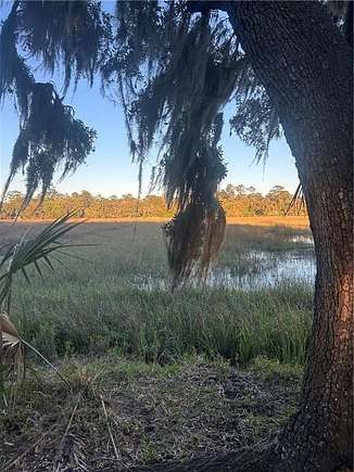 11.7 Acres of Land for Sale in Brunswick, Georgia