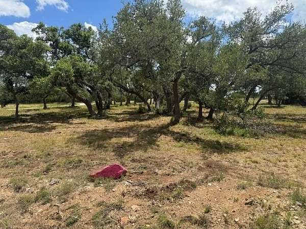 1 Acre of Residential Land for Sale in Blanco, Texas