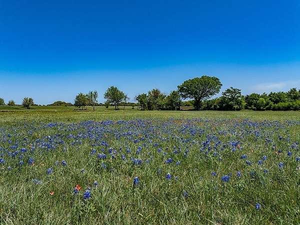 8.75 Acres of Residential Land for Sale in Round Top, Texas