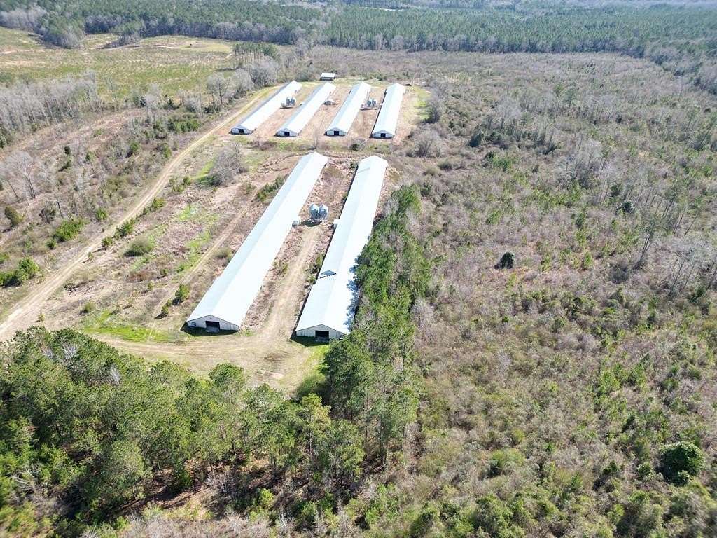 89 Acres of Agricultural Land for Sale in Skipperville, Alabama