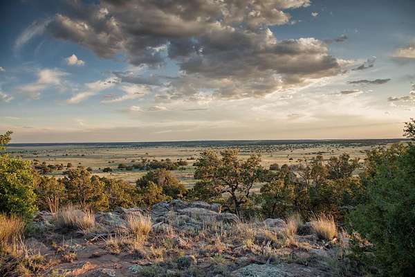 25.7 Acres of Recreational Land for Sale in Rowe, New Mexico