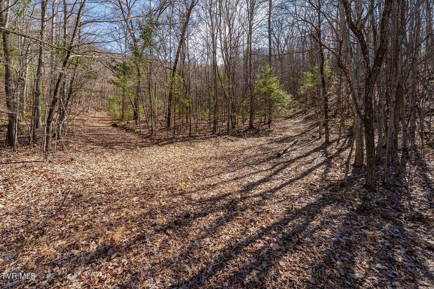 4.4 Acres of Residential Land for Sale in Mountain City, Tennessee